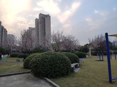 -杭州师范大学(下沙校区)