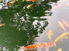 -湖鲜楼