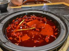 -杨家火锅(国美店)