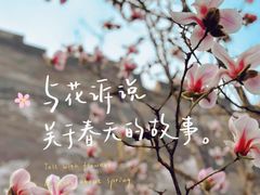 -东华门大街小区