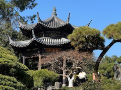 -西湖外事游船(花港观鱼码头)