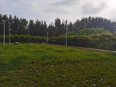 -白鹿原葡萄主题公园