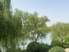 -鹊华居·地道鲁菜·海鲜·融合味(大明湖店)