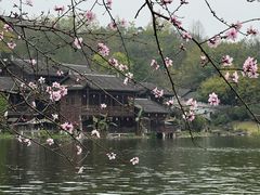 -重庆园博园