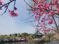 -无锡蠡湖国家湿地公园-蠡园