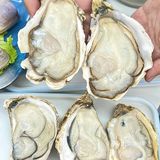 vocal不要太爽了 这家店就在地铁站门口 