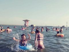 -碧海金沙