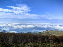 -灵山