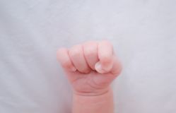 -国际月月生母婴月子中心(旗舰店)