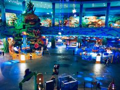 -青岛嘉年华主题乐园