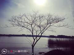 -太阳岛度假酒店