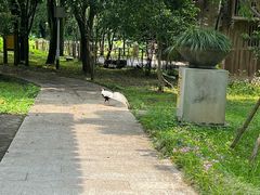 -福建鲤鱼洲酒店