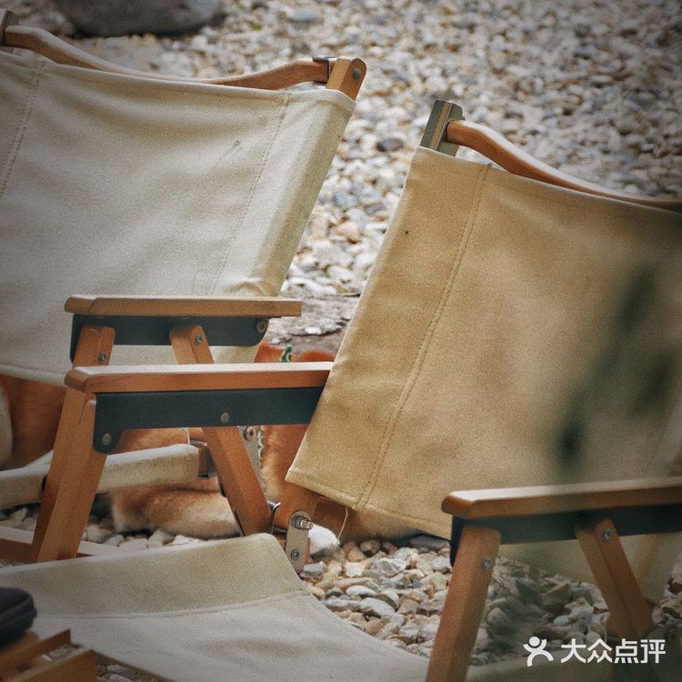 湖州安吉小杭坑营地｜可以带着狗狗🐶去的露营⛺地️