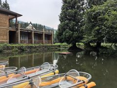 -武陵山森林公园