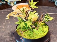 -虹潮荟·餐桌上的美食地理(太阳宫店)
