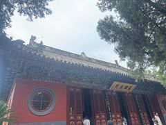 -洛阳白马寺