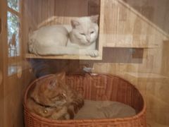 -懒鱼时光馆(沙坪坝店)