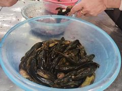 -彭大姐老店黄辣丁(新津店)