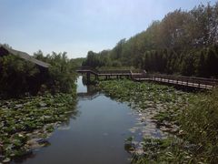 -溱湖国家湿地公园