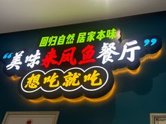 -新概念来凤鱼(璧山店)