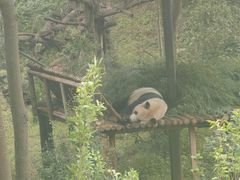 -云南野生动物园