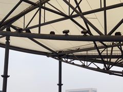 -移动谜城·大笨象密室逃脱(五棵松店)