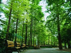 -苏州河梦清园环保主题公园