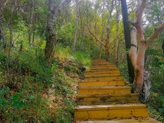 -白草畔自然风景区