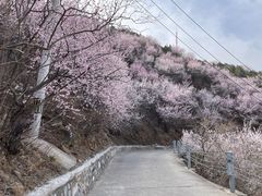 -品湘宴·湖南宁乡菜