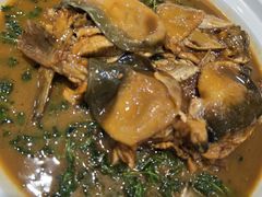 红烧河豚-蒋公馆家宴(江阴店)