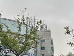 -中福百货(望京店)