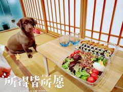 -北京美神宫艺术主题温泉酒店