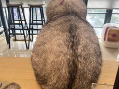 -Oasis绿洲银饰珍珠手作diy(壹方城店)