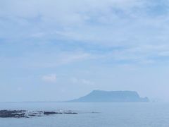 -涉地可支