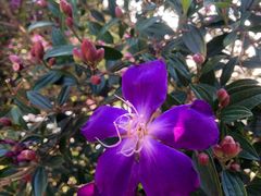 -南国桃园旅游度假区