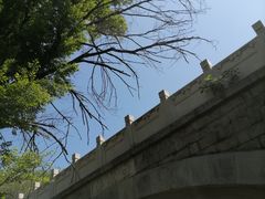 -白水寺森林公园