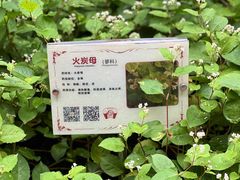 -广州神农草堂中医药博物馆