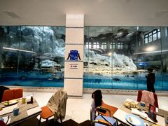 -帝企鹅自助餐厅•儿童岛•真企鹅(长隆企鹅酒店)