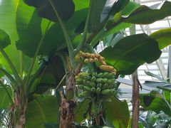 -石家庄市植物园