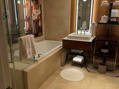 -拉斯维加斯永利酒店