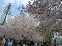 -西北湖绿化广场