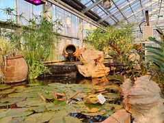 -国家植物园南园