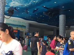 -黄金海岸水上乐园