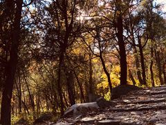 -阳台山自然风景区