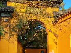 -西园戒幢律寺