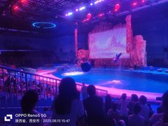 -华夏文旅海洋公园