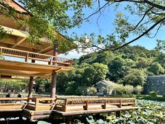 -李小龙乐园(顺德均安店)