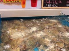 水产区-恭喜上堓砂锅焗·海鲜大排档(闵行龙湖店)
