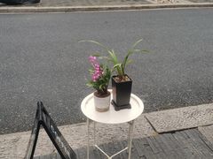 -倦勤咖啡(中山南路店)