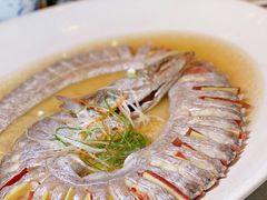 -义乌香格里拉•食尚汇MIX
